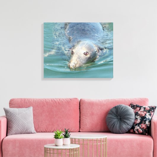 Toile Baignade de phoque mignonne en Cape Cod Canvas Art (Insitu(Salon))