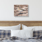 Toile Baird's Sandpiper sur la plage (Insitu(Chambre))