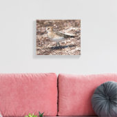 Toile Baird's Sandpiper sur la plage (Insitu(Salon))