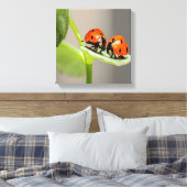 Toile Baiser Ladybugs (Insitu(Chambre))