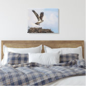 Toile Balbuzard dans un nid (Insitu(Chambre))