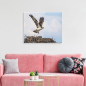 Toile Balbuzard dans un nid (Insitu(Salon))