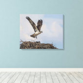 Toile Balbuzard dans un nid (Insitu (Plancher de Bois))