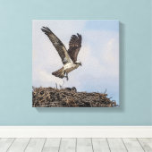 Toile Balbuzard pêcheur dans le nid (Insitu (Plancher de Bois))