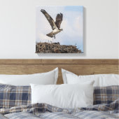 Toile Balbuzard pêcheur dans le nid (Insitu(Chambre))