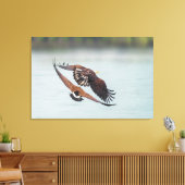 Toile Bald Eagle and Goose Nature Wildlife Fine Art (Insitu(Salon))