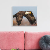 Toile Bald Eagle en vol (Insitu(Salon))