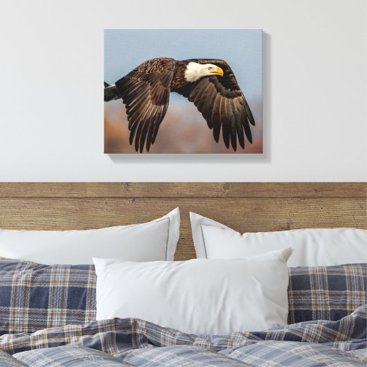 Toile Bald Eagle en vol (Insitu(Chambre))