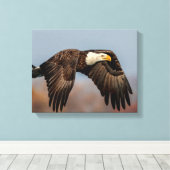 Toile Bald Eagle en vol (Insitu (Plancher de Bois))