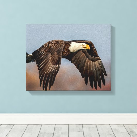 Toile Bald Eagle en vol (Insitu (Plancher de Bois))