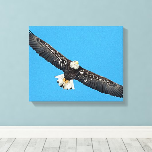 Toile Bald Eagle en vol (Insitu (Plancher de Bois))