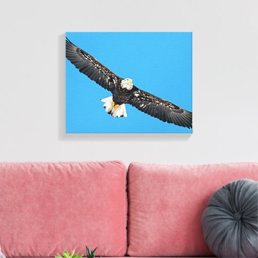 Toile Bald Eagle en vol (Insitu(Salon))