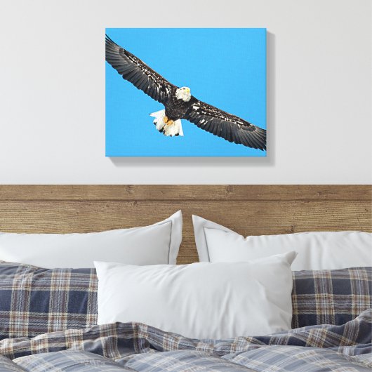 Toile Bald Eagle en vol (Insitu(Chambre))