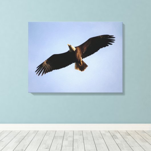 Toile Bald Eagle Étalon (Insitu (Plancher de Bois))
