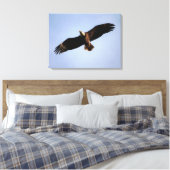Toile Bald Eagle Étalon (Insitu(Chambre))