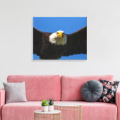 Toile Bald Eagle Flyby Up Close (Insitu(Salon))
