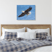 Toile Bald eagle in flight (Insitu(Chambre))
