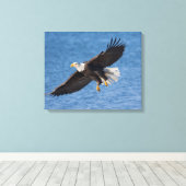 Toile Bald eagle in flight (Insitu (Plancher de Bois))