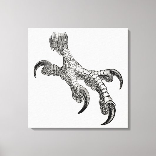 Toile Bald vintage Eagle Claw Oiseaux Personnalisés (Recto)