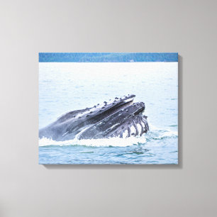 Toile baleine de bosse en Alaska