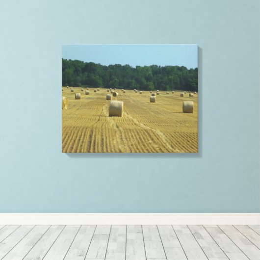 Toile Bales rondes (Insitu (Plancher de Bois))