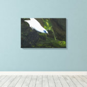 Toile Bali Mina (Insitu (Plancher de Bois))