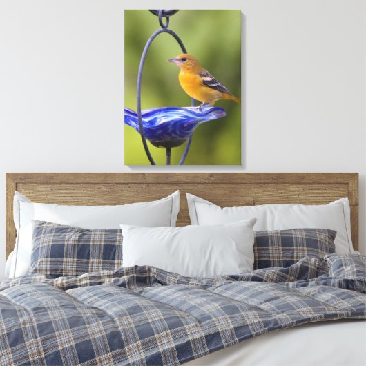 Toile Baltimore Oriole (Insitu(Chambre))