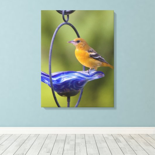 Toile Baltimore Oriole (Insitu (Plancher de Bois))