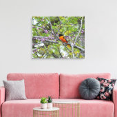 Toile Baltimore Oriole (Insitu(Salon))