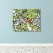 Toile Baltimore Oriole (Insitu (Plancher de Bois))