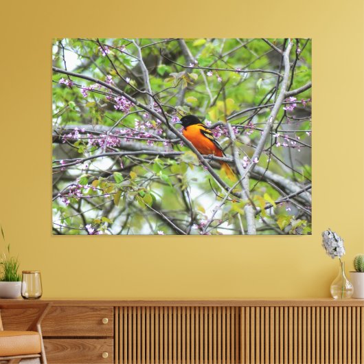 Toile Baltimore Oriole (Insitu(Salon))