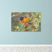 Toile Baltimore Oriole (Insitu (Plancher de Bois))