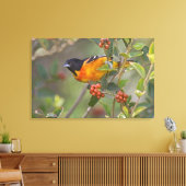 Toile Baltimore Oriole (Insitu(Salon))
