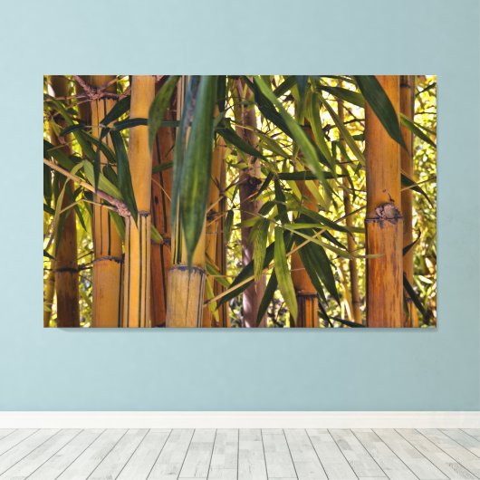 Toile Bambou (Insitu (Plancher de Bois))