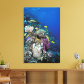 Toile Banc de rougets autour d'un petit corail (Insitu(Salon))