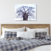 Toile Baobab (Adansonia Digitata), Luanda (Insitu(Chambre))