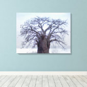 Toile Baobab (Adansonia Digitata), Luanda (Insitu (Plancher de Bois))