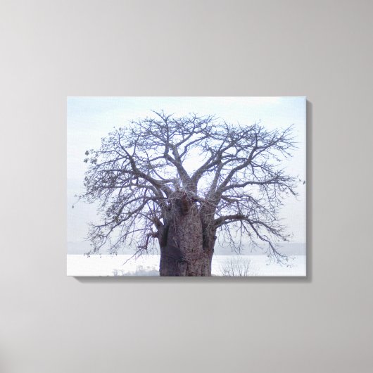 Toile Baobab (Adansonia Digitata), Luanda (Recto)