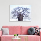 Toile Baobab (Adansonia Digitata), Luanda (Insitu(Salon))