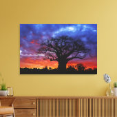 Toile Baobab africain, Adansonia digitata, 2 (Insitu(Salon))