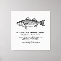 Bar Branzino Vintage de la Bass de mer européenne 