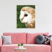 TOILE BARN OWLS (Insitu(Salon))