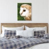 TOILE BARN OWLS (Insitu(Chambre))