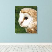 TOILE BARN OWLS (Insitu (Plancher de Bois))