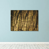 Toile Barre de palmiers (Insitu (Plancher de Bois))