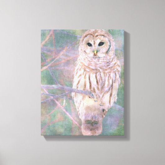 Toile Barred Owl Pastel Oilpaint (Recto)