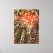 Toile Barrel Cactus (Recto)