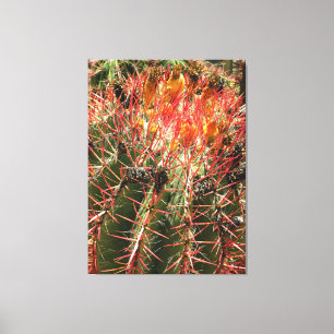 Toile Barrel Cactus
