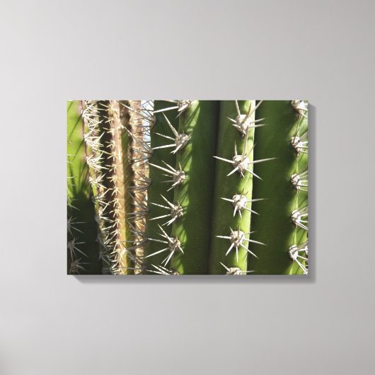 Toile Barrel Cactus II Désert Nature Photo (Recto)
