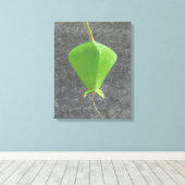 Toile Barringtonia Acutangula (Insitu (Plancher de Bois))